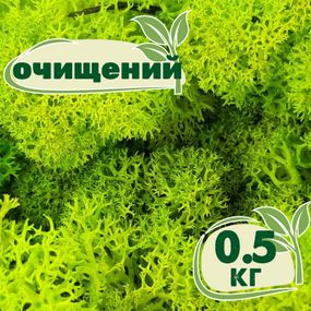 Очищенный стабилизированный мох ягель Nordic moss Зеленый весенний 0,5 кг