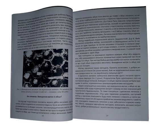 Книга “Техніка розведення та селекційний відбір бджіл” Ф. Руттнер | Зображення 1