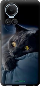 Чохол на Oppo Reno10 Димчастий кіт "825b-3107-2448"