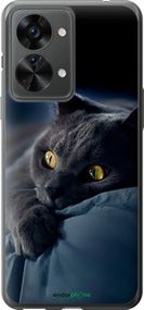 Чохол на OnePlus Nord 2T Димчастий кіт "825u-2640-2448"