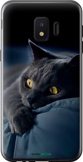 Чохол на Samsung Galaxy J2 Core Димчастий кіт "825u-1565-2448"