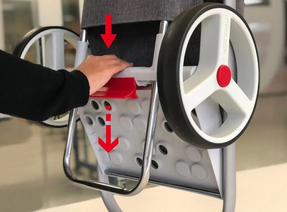 Сумка-візок Rolser Com MF 8 Black Tube Burdeos (COH012-1060) | Зображення 1