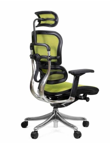 Кресло компьютерное ERGOHUMAN Plus Green | Зображення 5