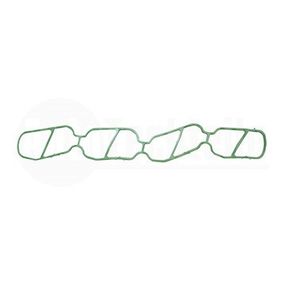 Прокладка впускного коллектора Fiat Doblo 05- / Fiorino 1.3 D Multijet 07- / Citroen Nemo / Peugeot Bipper 1.3