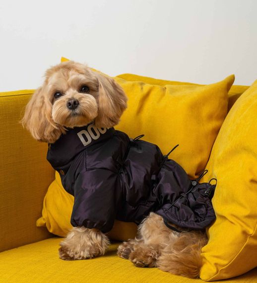 Куртка з фіксаторами фіолетова K-76