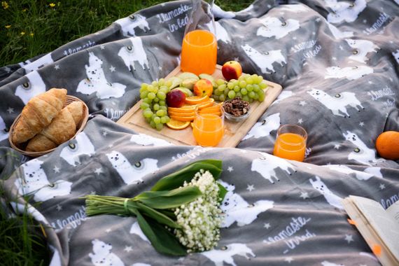 Плед Ardesto Flannel Лами ART0114PB 160х200 см сірий | Зображення 2