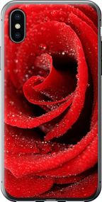 Чехол на iPhone X Красная роза "529u-1050-17620"