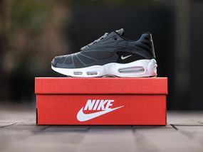 Кросівки Nike Air Max Plus TN Grey