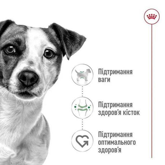 Вологий корм для дорослих собак малих порід Royal Canin Mini Adult, 85 г | Зображення 1