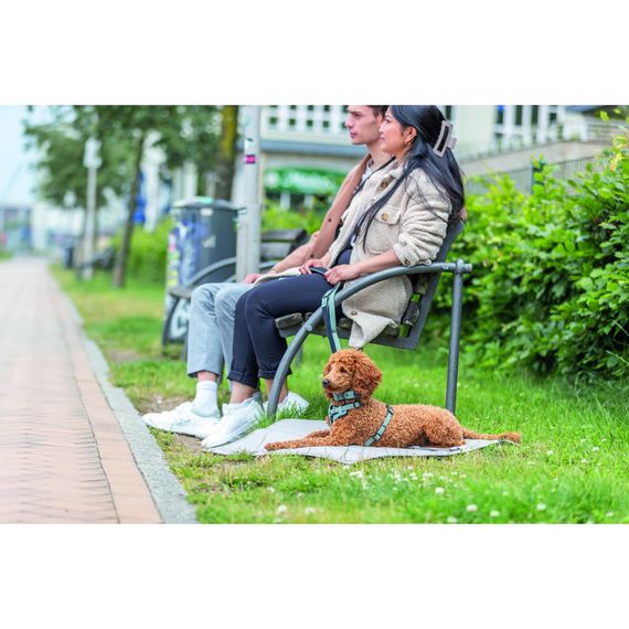 Шлея Trixie CityStyle H-harness для собак бавовна L–XL 75–120 см 25 мм світло-зелена | Зображення 1