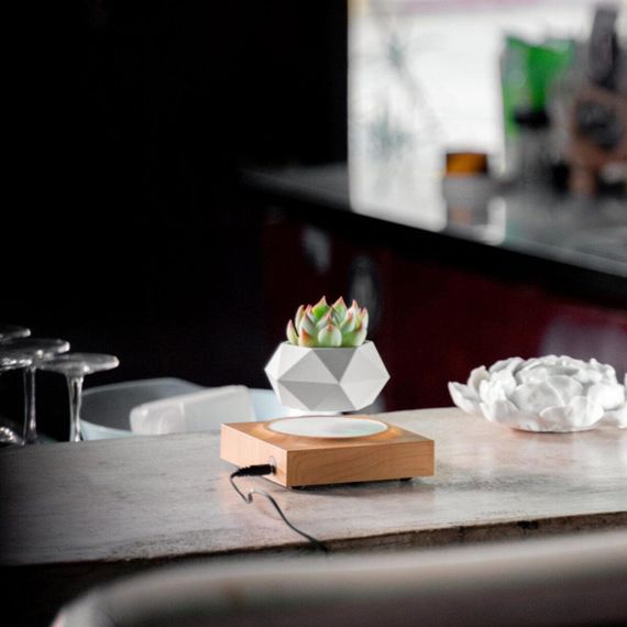 Магнітний левітаційний горщик для рослин HCNT Magnetic Levitating Pot M10-FP  Wood Grain | Зображення 3