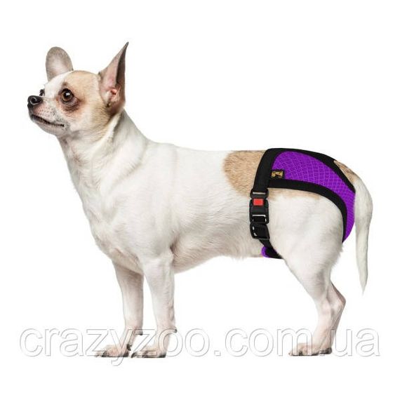 Труси гігієнічні для собак Bronzedog Mesh, розмір M (середні породи) фіолетовий 673107/Т | Зображення 6