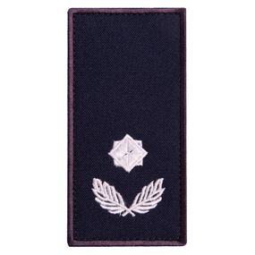 Шеврон IDEIA 87454 Україна 5*10  Габардин Синій