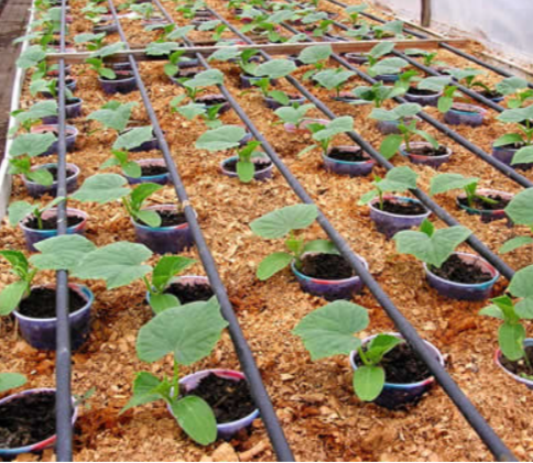 Эмитерная лента 7 mil шаг 15 см бухта 500 метров капля Shadow | Зображення 9