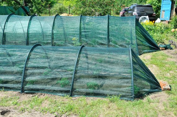 Укрытие от солнца для растений Shadow 8 м 120 х 80 затенение 80% | Зображення 6