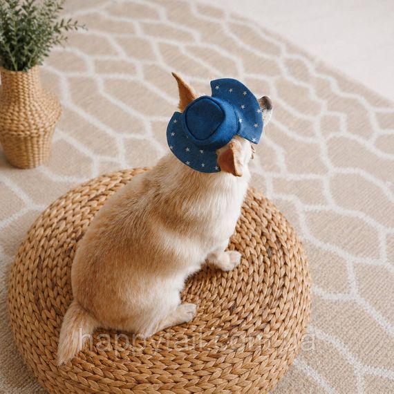 Панама для собак Pet Fashion Stars M синяя джинсовая — летний головной убор с отверстиями для ушей | Зображення 5