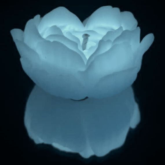 Cвiчка люмінісцентна низькотемпературна GlowKink біла, М Sex Aura | Зображення 2