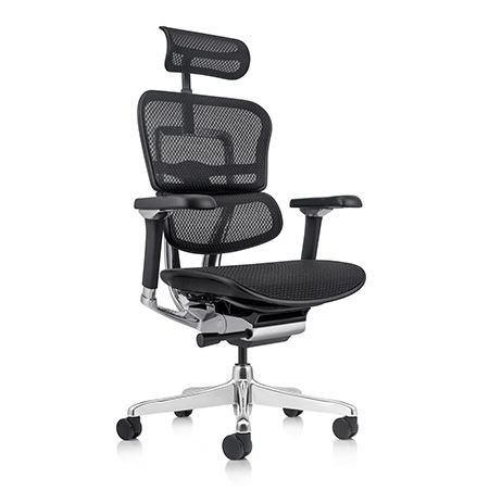 Кресло компьютерное ERGOHUMAN ELITE 2 (EHE2-AB-HAM-5D-L) BLACK | Зображення 8