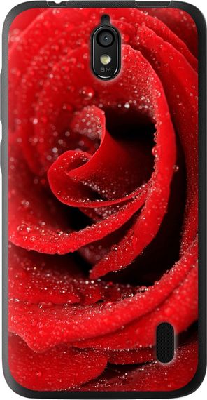 Чехол на Huawei Ascend Y625 Красная роза "529u-161-17620"