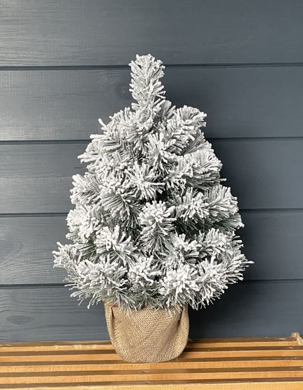 Ялинка Classic 50 см в мішковині засніжена | Зображення 3