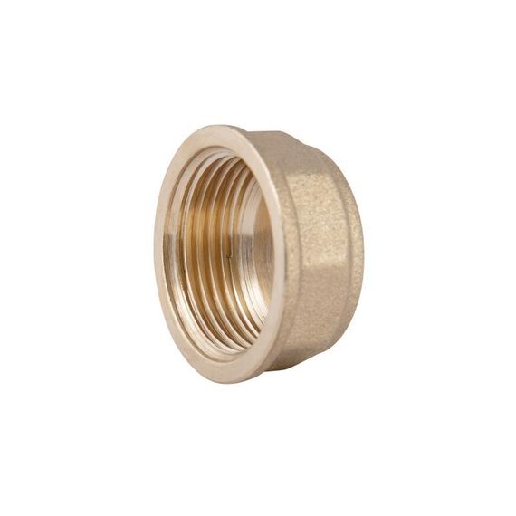 Заглушка Thermo Alliance Standart 3/4" ВР SD40220