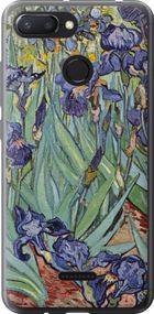 Чехол на Xiaomi Redmi 6 Винсент Ван Гог. Ирисы "161u-1521-17620"