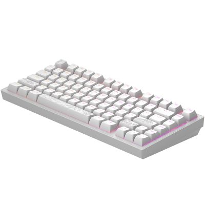 Клавиатура Dark Project ALU81 Terra Nostra PBT RGB Mech G3MS Moonstone White (DPKB_NOSTRA_81_ANSI_WHITE_UA) | Зображення 8