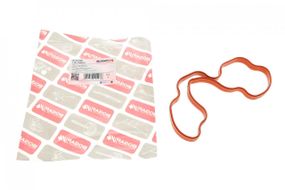 Прокладка колектора впускного BMW 5 E34 E39 7 E38 3.0-4.0 i -03, M60 M62 B1715100