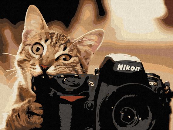 Картина по номерам   Art Craft "Пушистый фотограф" 40х50 см 11608-AC