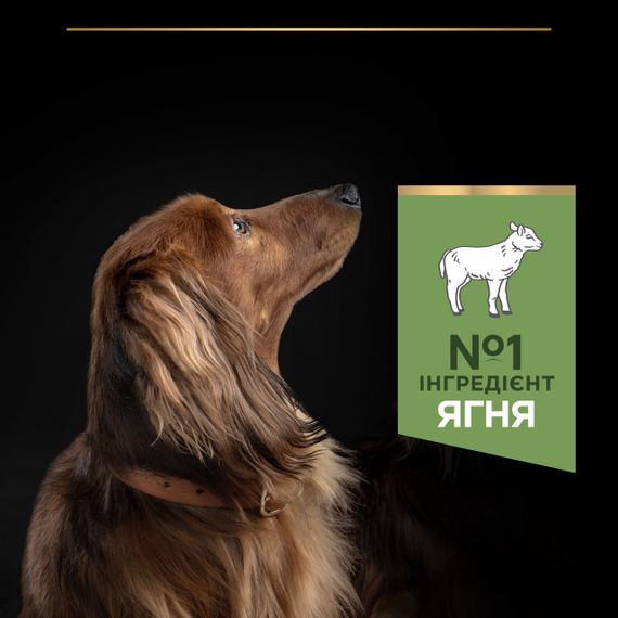Сухой корм для собак малых пород с ягнятиной Purina Pro Plan Small & Mini Sensitive Digestion Lamb 3 кг | Зображення 3