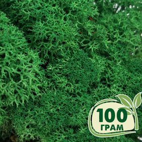Стабілізований мох ягель Зелений трав'яний темний 100 грам