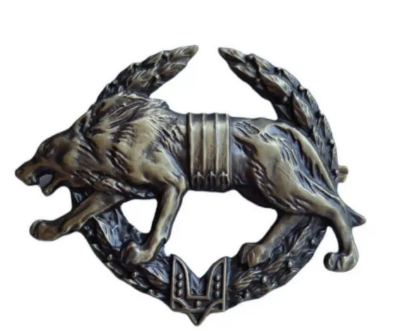 Кокарда "Силы специальных операций" ССО