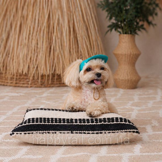 Кепка для собак Pet Fashion Topaz M бірюзова — літній бавовняний капелюх із регульованими отворами для вух | Зображення 5
