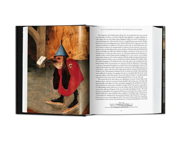 Книги для художників мистецтвознавців жтвопис Ієроніма Босха Hieronymus Bosch: The Complete Works.Stefan Fischer | Зображення 2
