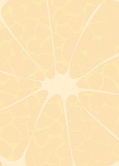 Блокнот 4Profi "Frutti note", orange 40 листов формат В6 902651 | Зображення 1