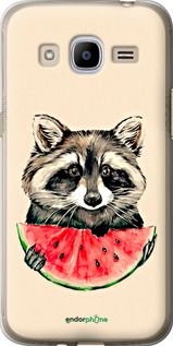 Чохол на Samsung Galaxy J2 (2016) J210 Єнотик з кавуном "4605u-270-2448"