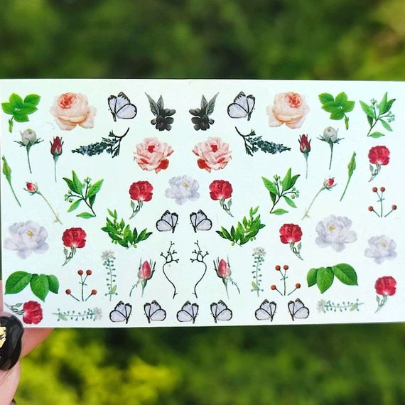 Слайдер B-09 на водяній основі (5x8см)