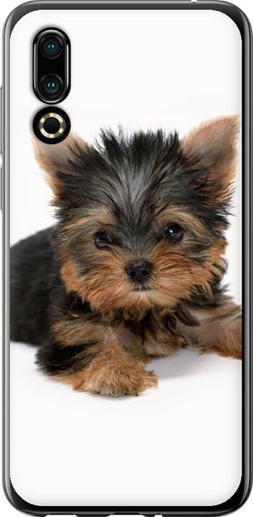 Чехол на Meizu 16S Щенок йоркширского терьера "931u-1701-17620"