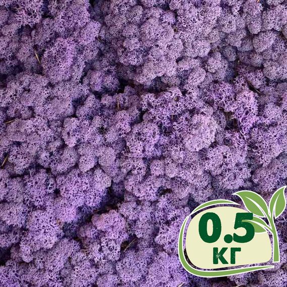 Стабілізований мох ягель Еріка 0,5 кг