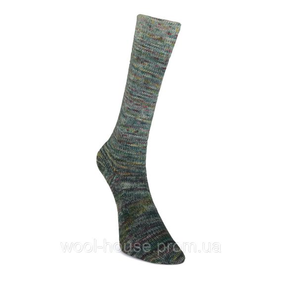 Шкарпеткова пряжа Laines du Nord Paint Gradient Sock, 10