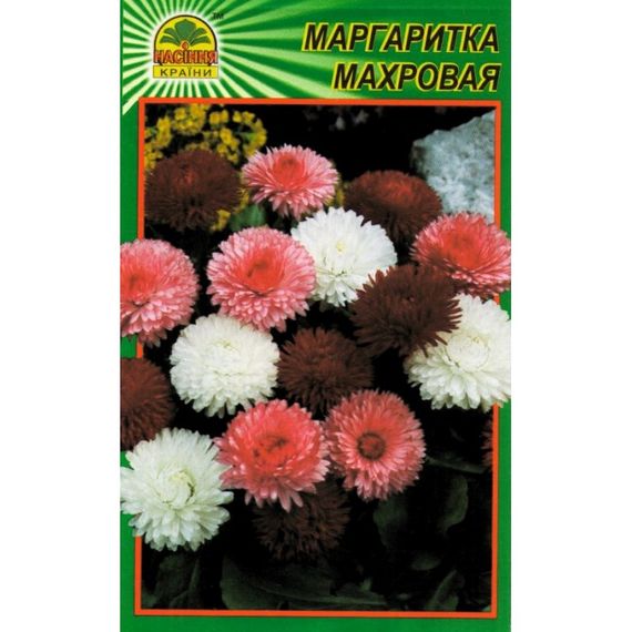 Насіння Маргаритка махрова 100 шт. (Насіння країни)