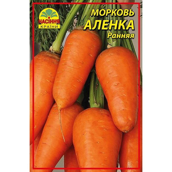 Насіння моркви Оленка 0,5 кг (Насіння країни) | Зображення 1