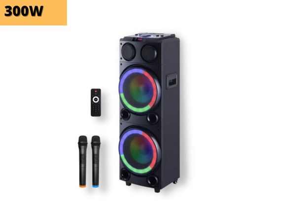 Акумуляторна акустична система XPRO HS-TD1020 колонка валіза 300Вт USB, SD, FM радіо, Bluetooth, 2 радіомікрофони, ДУ (MER-15697) | Зображення 1