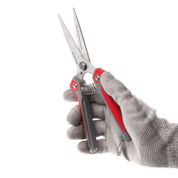 Секатор для винограду, 200 мм, INOX, комбінована ручка INTERTOOL FT-1015 | Зображення 1