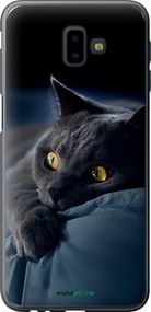 Чохол на Samsung Galaxy J6 Plus 2018 Димчастий кіт "825t-1586-2448"