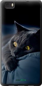 Чохол на Huawei Ascend P8 Lite Димчастий кіт "825u-126-2448"