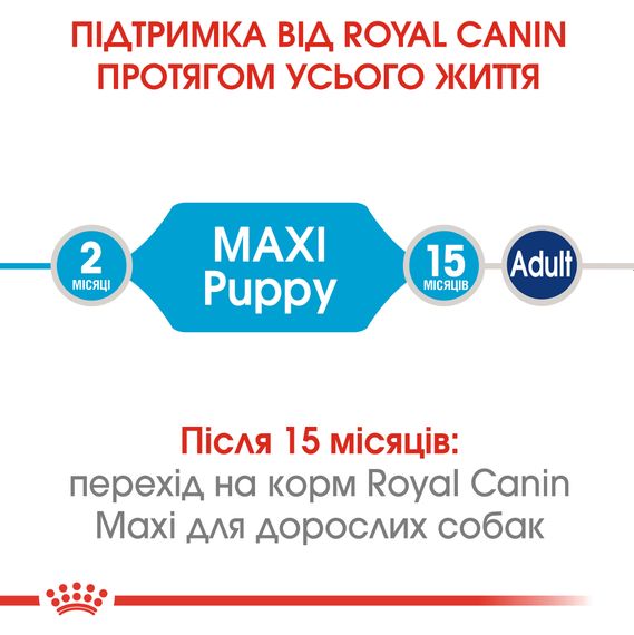 Royal Canin MAXI PUPPY Корм для цуценят великих порід у віці від 2 до 15 місяців 4 кг | Зображення 5