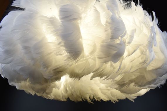 Люстра підвісна з пір'ям на 6 лампочок 26045 Білий 40-90х50х50 см. | Зображення 5