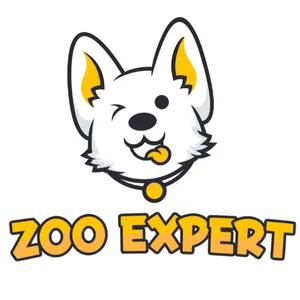 Zoo-expert