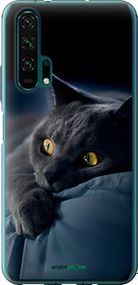 Чохол на Huawei Honor 20 Pro Димчастий кіт "825t-1702-2448"